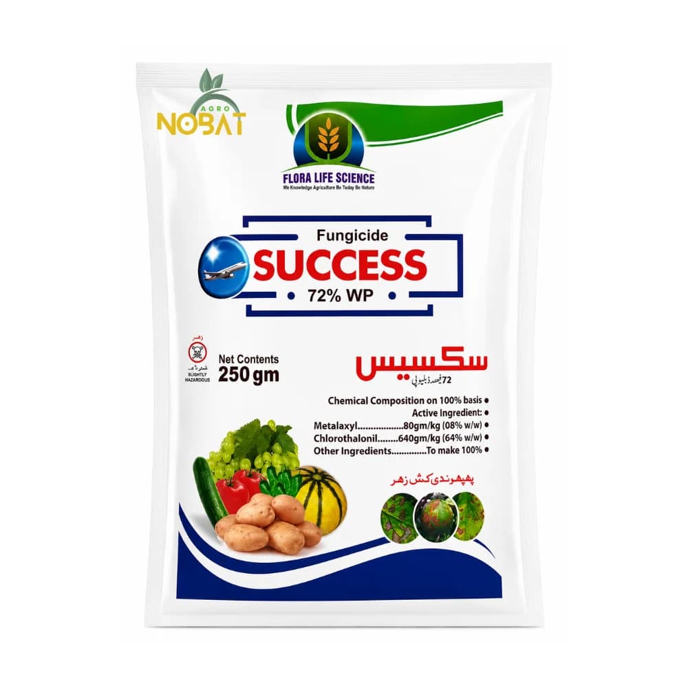Success 72% WP